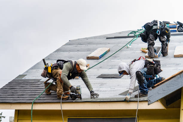 Professional Storm Damage Roof Repair technician working in Mount Hermon, CA